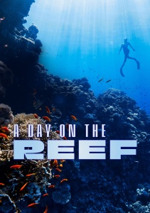 Один день на рифе: Сипадан