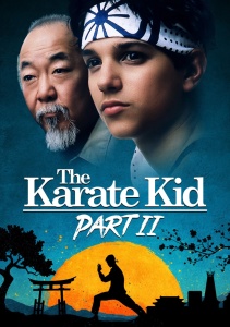 Парень-каратист 2